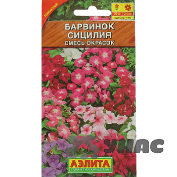 Барвинок Сицилия Аэлита Ц 