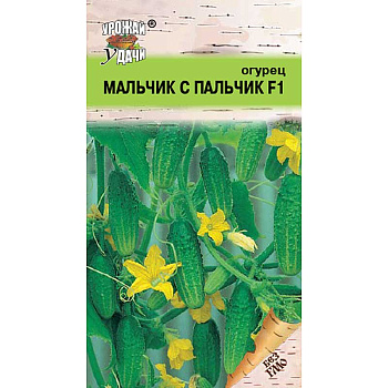 Огурец Мальчик-с-пальчик Урожай у дачи Ц