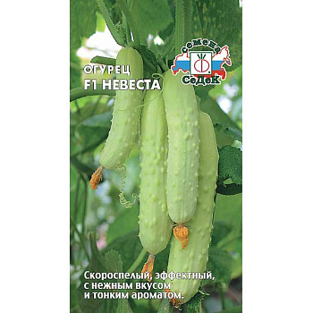 Огурец Невеста Седек Ц