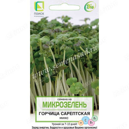Микрозелень Горчица сарептская (салатная) Микс Поиск Ц