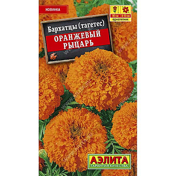 Бархатцы Оранжевый рыцарь Аэлита Ц 