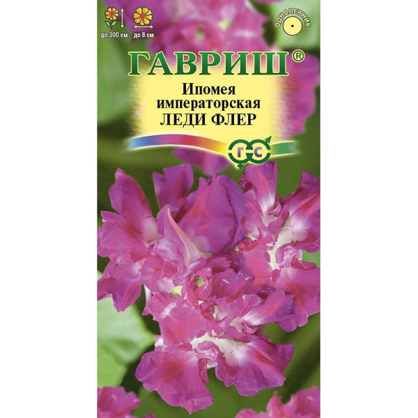Ипомея Леди Флер Гавриш Ц 