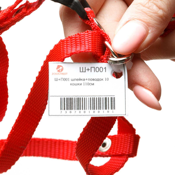 Шлейка+поводок капрон для кошек и щенков ширина 10 мм