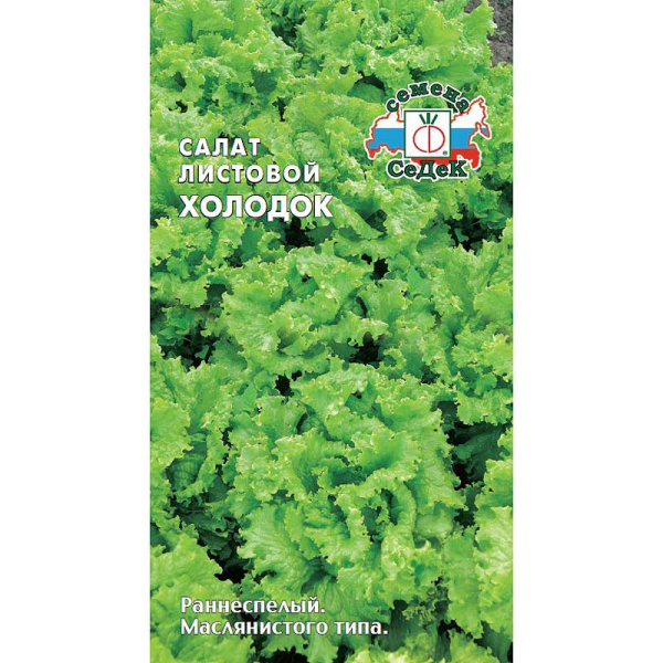 Салат Холодок (лист) Седек Ц