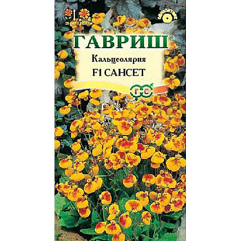 Кальцеолярия Сансет Гавриш Цх10 