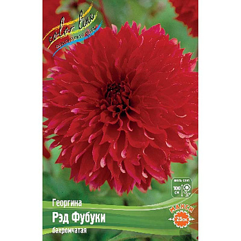 Георгина Рэд Фубуки I 15 шт Шоу-бокс 9115