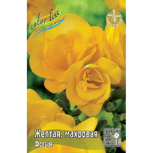 Фрезия Желтая, Махровая 5/6 10 шт 