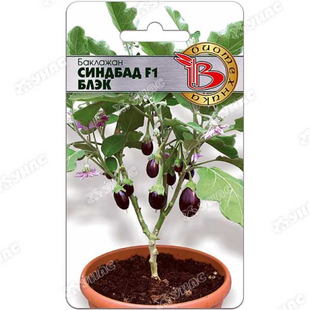 Баклажан Синдбад F1 Блэк Биотехника Ц