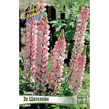 8487 Биг-Пак Люпин Зе Шателейн I 50 шт