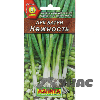 Лук батун Нежность  Аэлита Ц