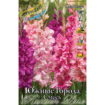 Гладиолус Южные Города Смесь 10/12 8 шт 