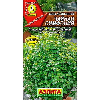 Мята Чайная симфония колосистая Аэлита Ц