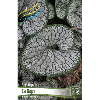 Бруннера Си Харт I 25 шт Биг-Пак 16427