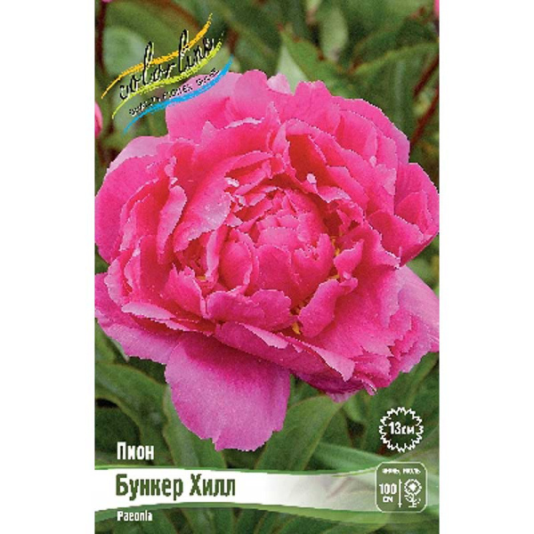 Пион Бункер Хилл 2/3 n 25 шт Биг-пак 7973