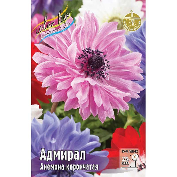 Анемона Адмирал 5/6 10 шт