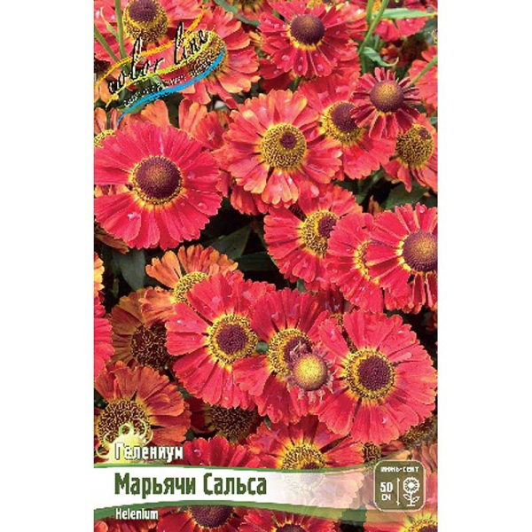 8369 Биг-Пак Гелениум Марьячи Сальса I 25 шт