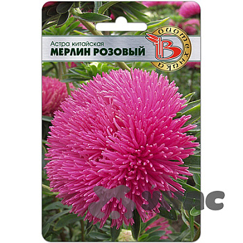 Астра Мерлин Розовый Биотехника Ц 
