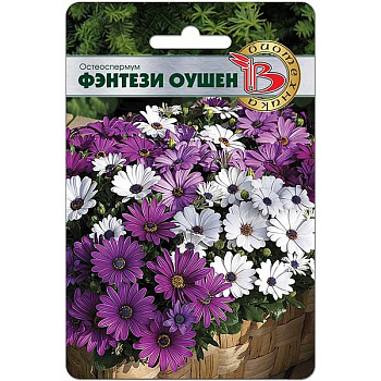 Остеоспермум Фентези Оушен Биотехника Ц 