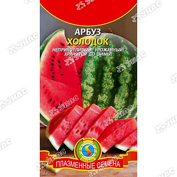 Арбуз Холодок Плазма Ц