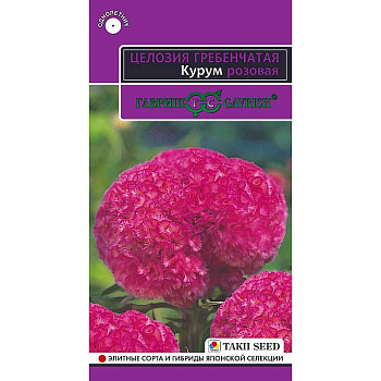 Целозия Курум розовая гребенчатая Гавриш Ц 
