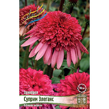Эхинацея Суприм Элеганс I 1 шт 