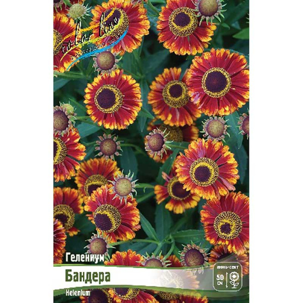 16444 Биг-Пак Гелениум Бандера I 25 шт 