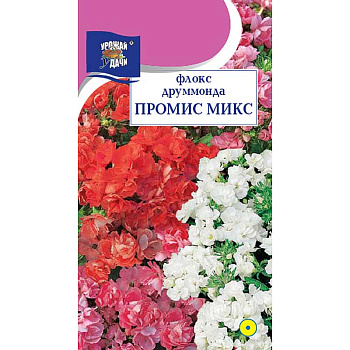 Флокс Промис Микс Урожай у дачи Ц 