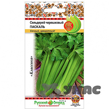 Сельдерей черешковый Паскаль НК Ц