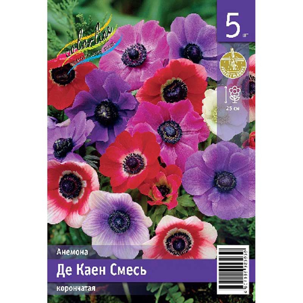 Анемона Де Каен Смесь 5/6 5 Эконом шт