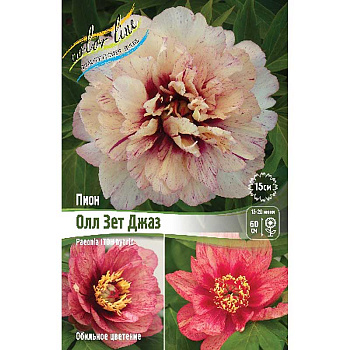 Пион Ито Олл Зет Джаз 2/3 n 1 шт