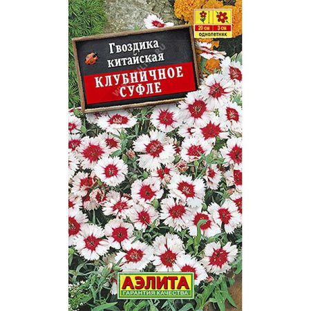 Гвоздика Китайская Клубничное суфле  Аэлита Ц 