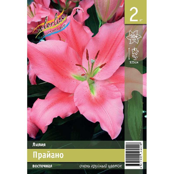 Лилия Прайано 12/14 2 Эконом шт 