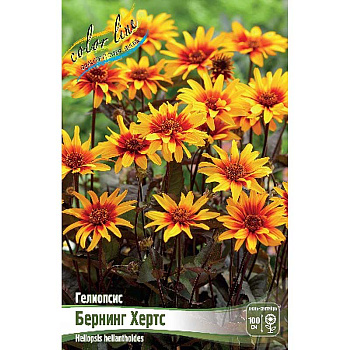 Гелиопсис Бернинг Хертс I 25 шт Биг-Пак 1094
