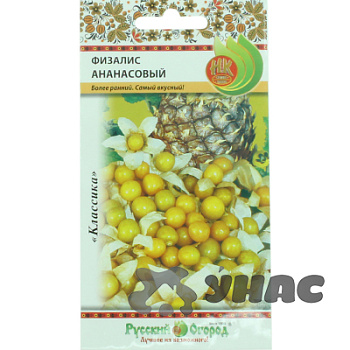 Физалис Ананасовый НК Ц
