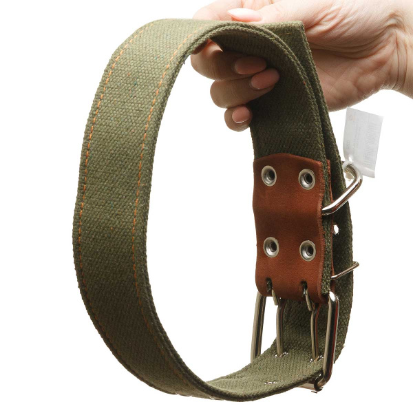Ошейник брезентовый ширина 45 мм двойной 75 см