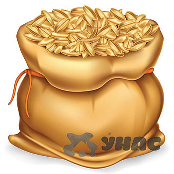 Семена Томат Корнабель 250 шт Vilmorin