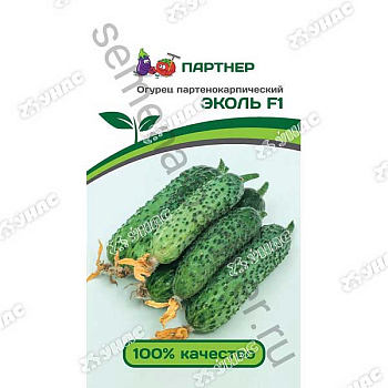 Огурец Эколь Партнер Ц