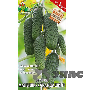 Огурец Малыши-карандаши Поиск Ц