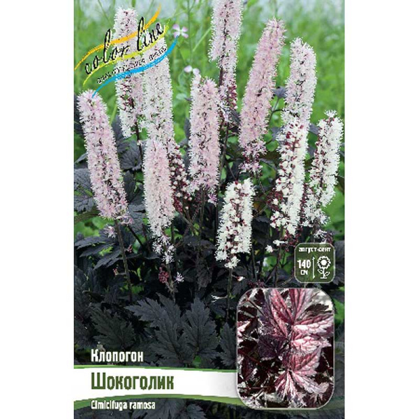 8431 Биг-Пак Клопогон Шокоголик I 25 шт 