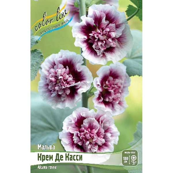 8514 Биг-пак Мальва Крем Де Касси I 25 шт