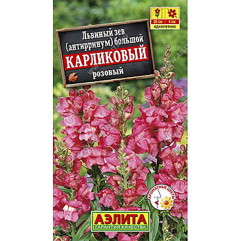 Львиный зев карликовый розовый Аэлита Ц 