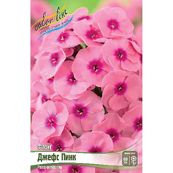 8084 Биг-Пак Флокс Джефс Пинк I 25 шт