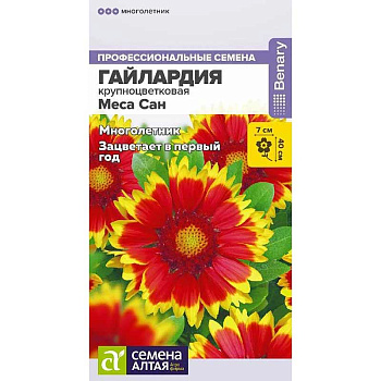 Гайлардия Меса Сан СемАлт Ц 