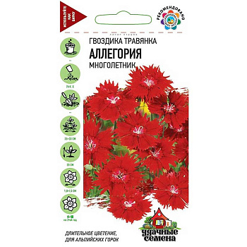 Гвоздика травянка Аллегория Удач сем Гавриш Ц 