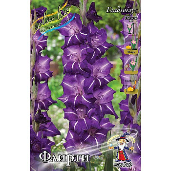 Гладиолус Флирти 10/12 10 шт