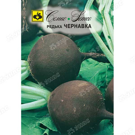 Редька Чернавка Семко Ц