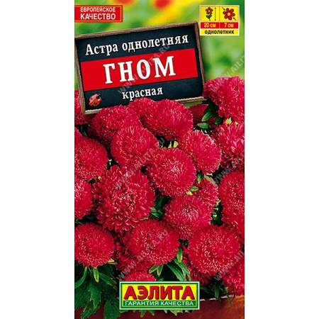 Астра Гном Красная Аэлита Ц 