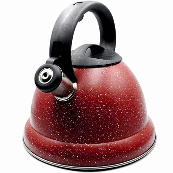 Чайник NA2265/GH-0604 3 л нержавеющая сталь с покрытием