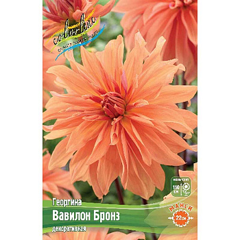 Георгина Вавилон Бронз I 15 шт Шоу-бокс 13916