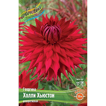 Георгина Холли Хьюстон I 1 шт